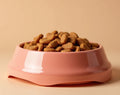 All-in-One Pet Starter Kit: 2-Pack Leather Bells Collars & Heavy-Duty Feeding Bowl